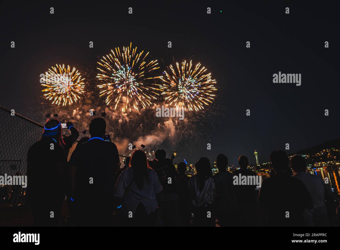 gas works seattle 4th july