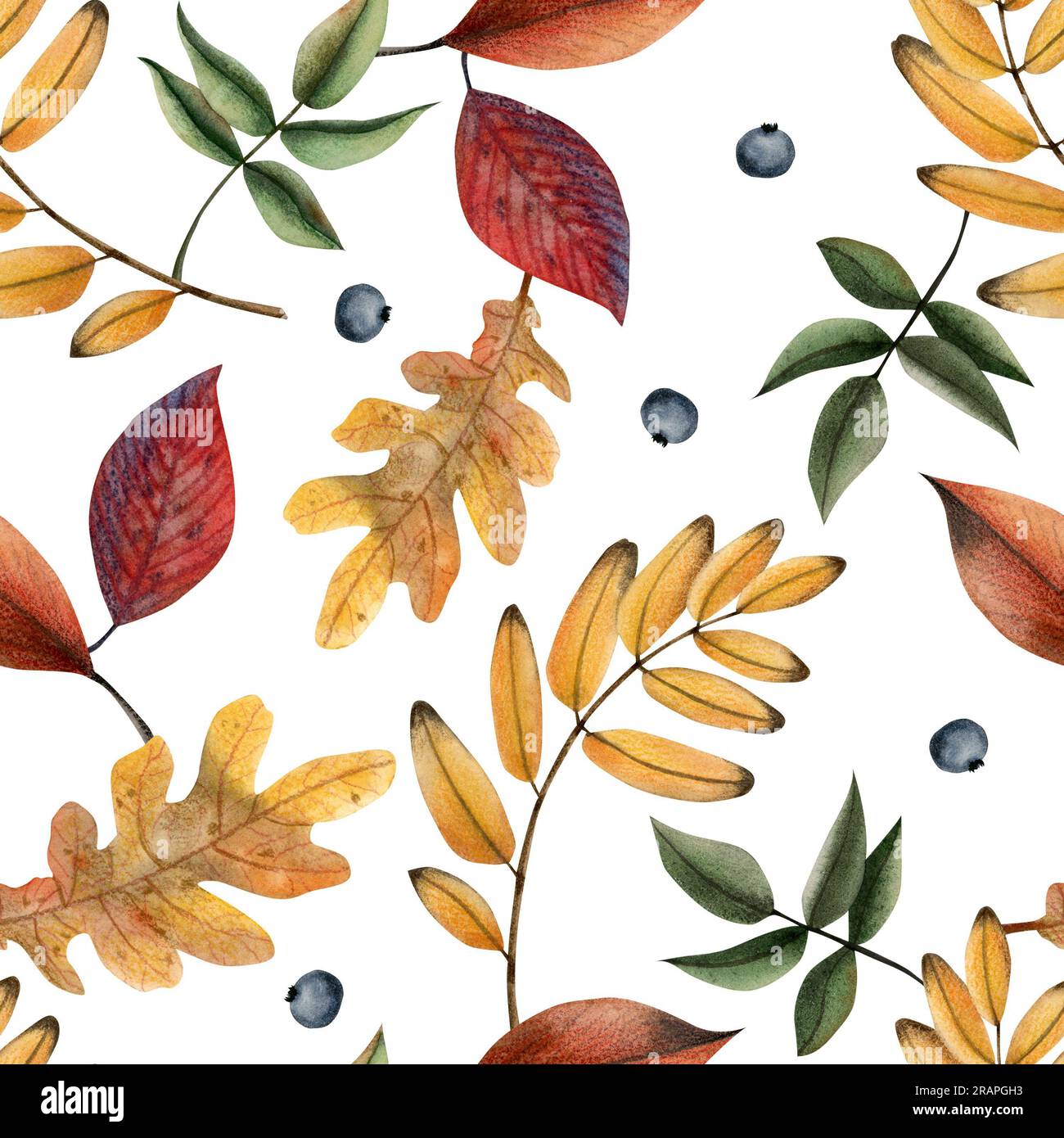 Watercolor fallen autumn leaves seamless pattern on white. Fall botanical background in red, yellow and green colors Stock Photo