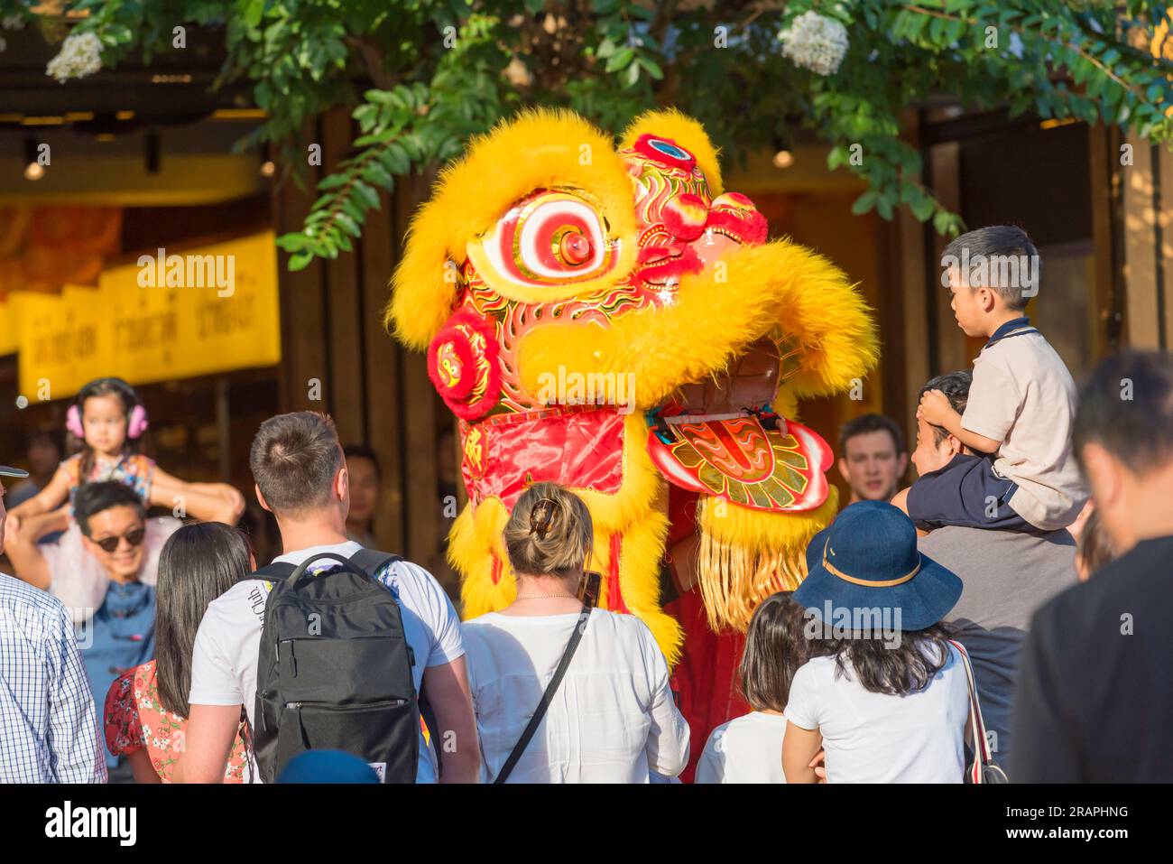 A Chinese Dragon dance performing up close to a young child during Lunar (Chinese) New Year in Sydney's Darling Quarter in Australia Stock Photo