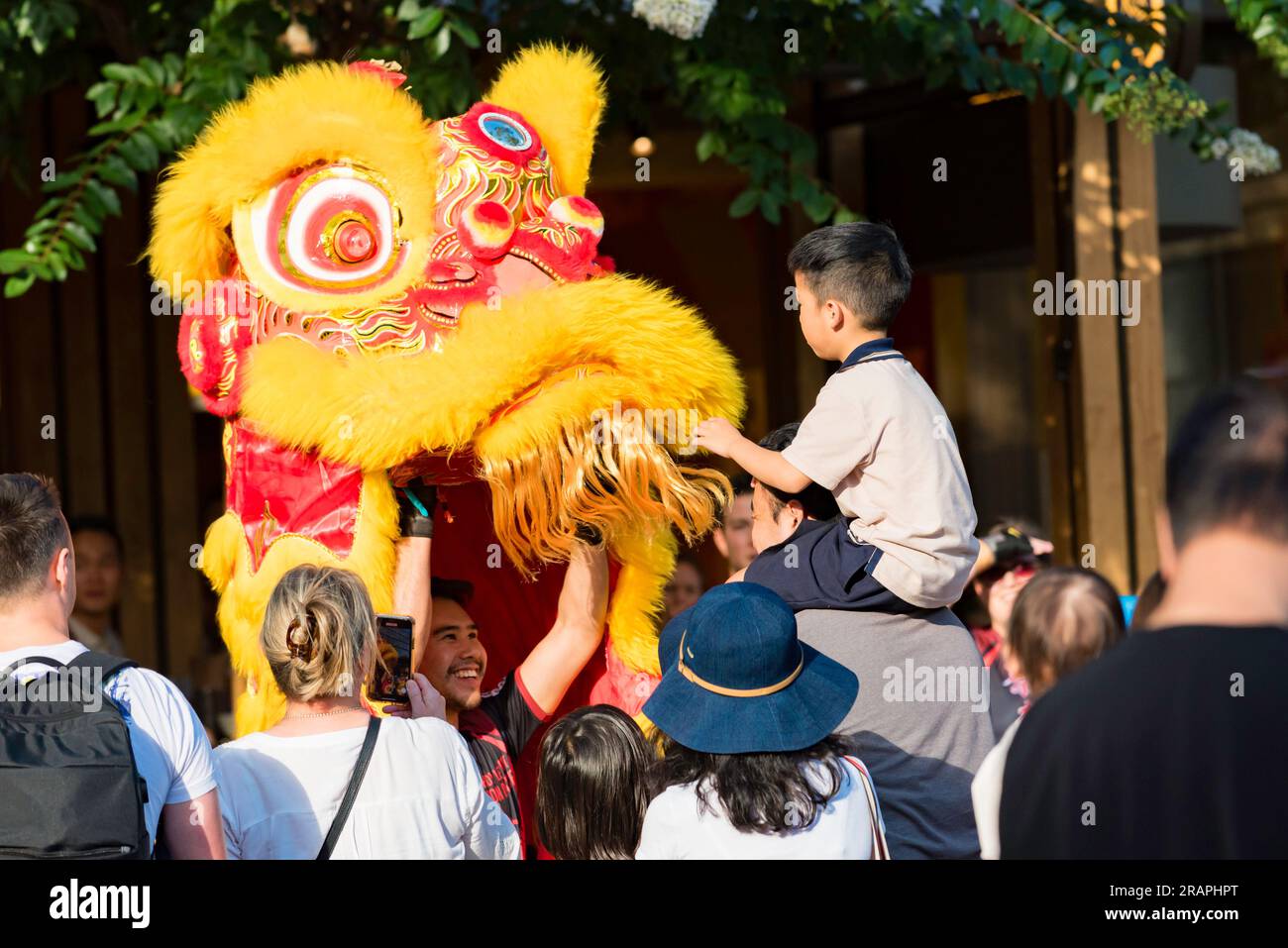 A Chinese Dragon dance performing up close to a young child during Lunar (Chinese) New Year in Sydney's Darling Quarter in Australia Stock Photo