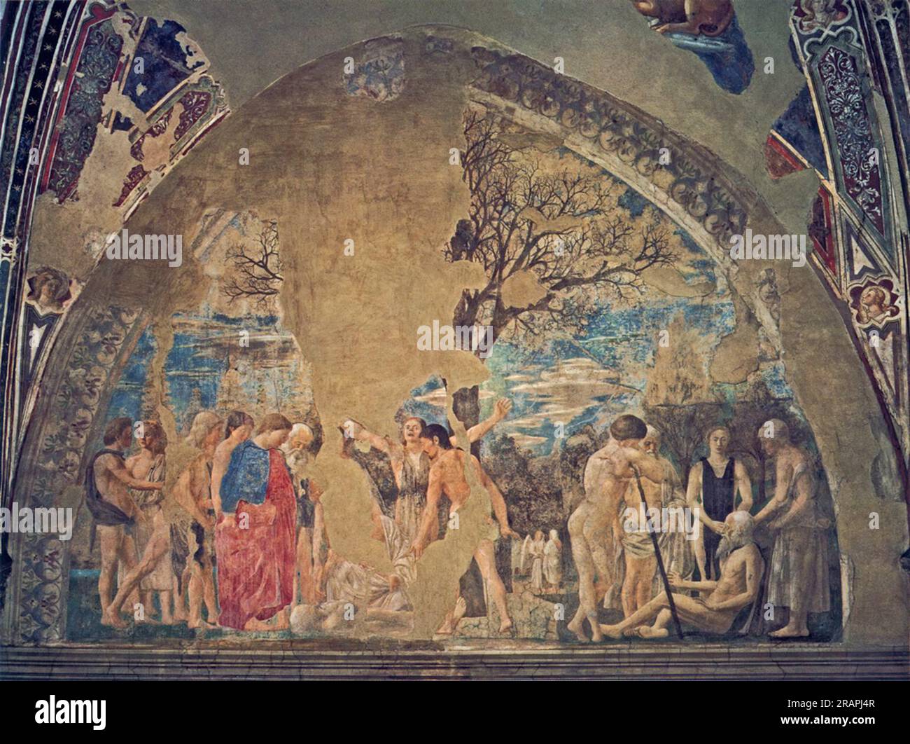 Death of Adam 1458 by Piero della Francesca Stock Photo - Alamy