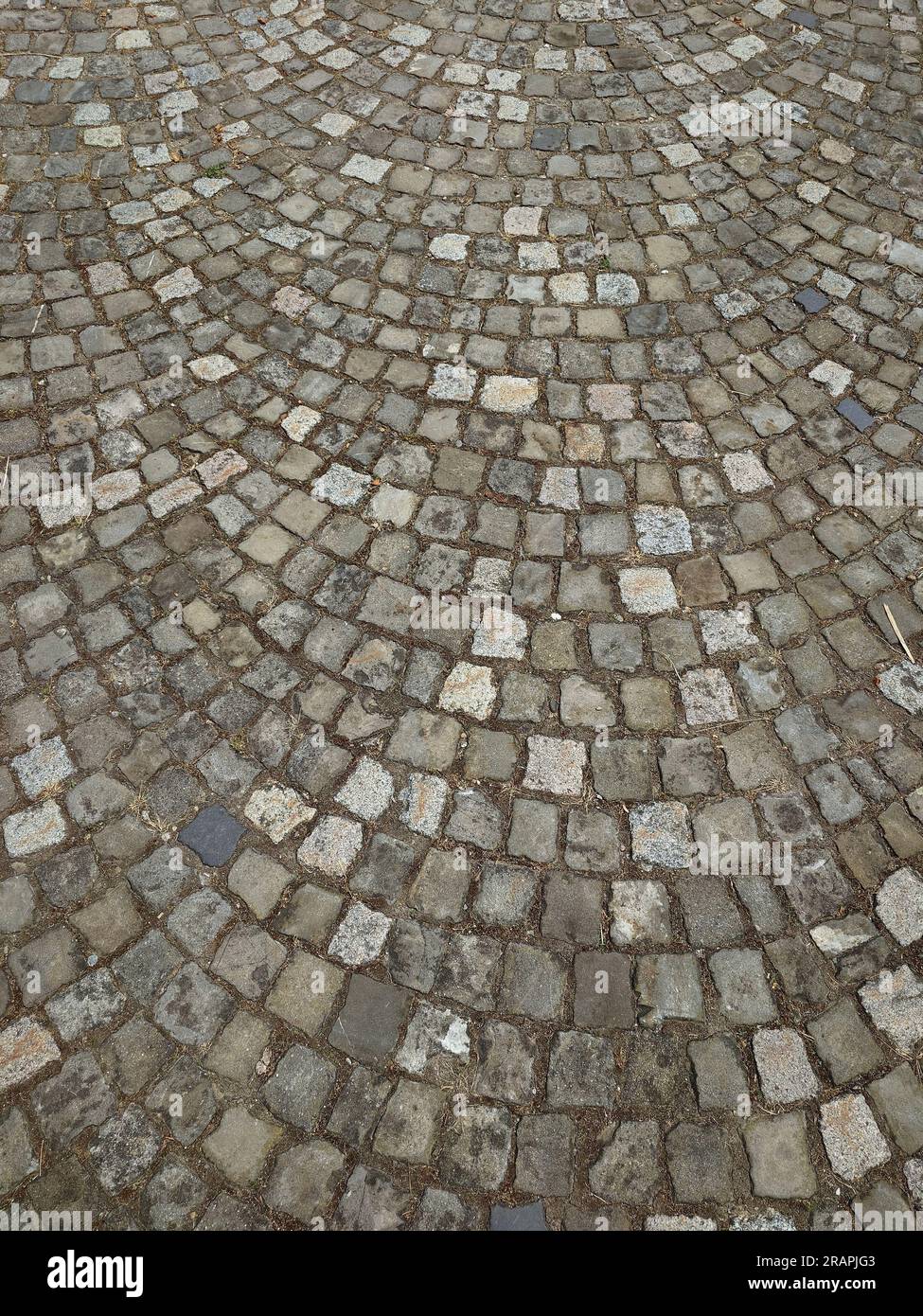 Old rough cobblestone footpath pavement arranged in a circular radius