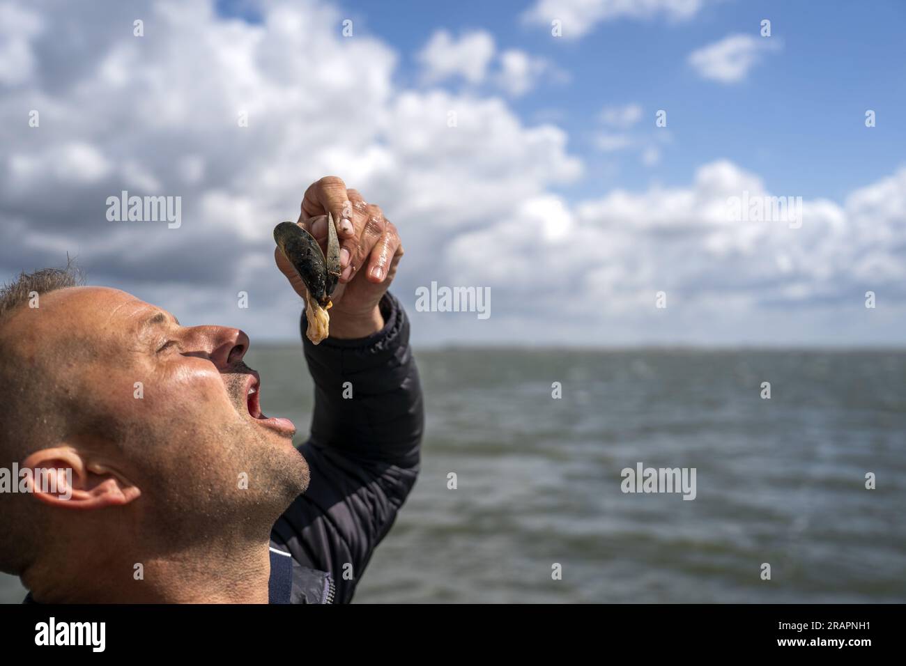 YERSEKE The mussel season has officially started with the collection