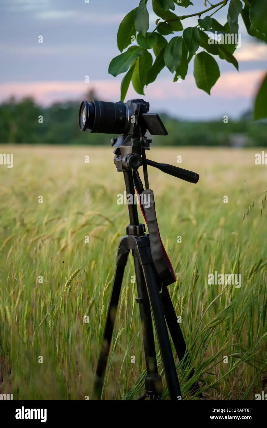 Camera In Field Digital camera photography lake sunrise hi-res stock photography and ...