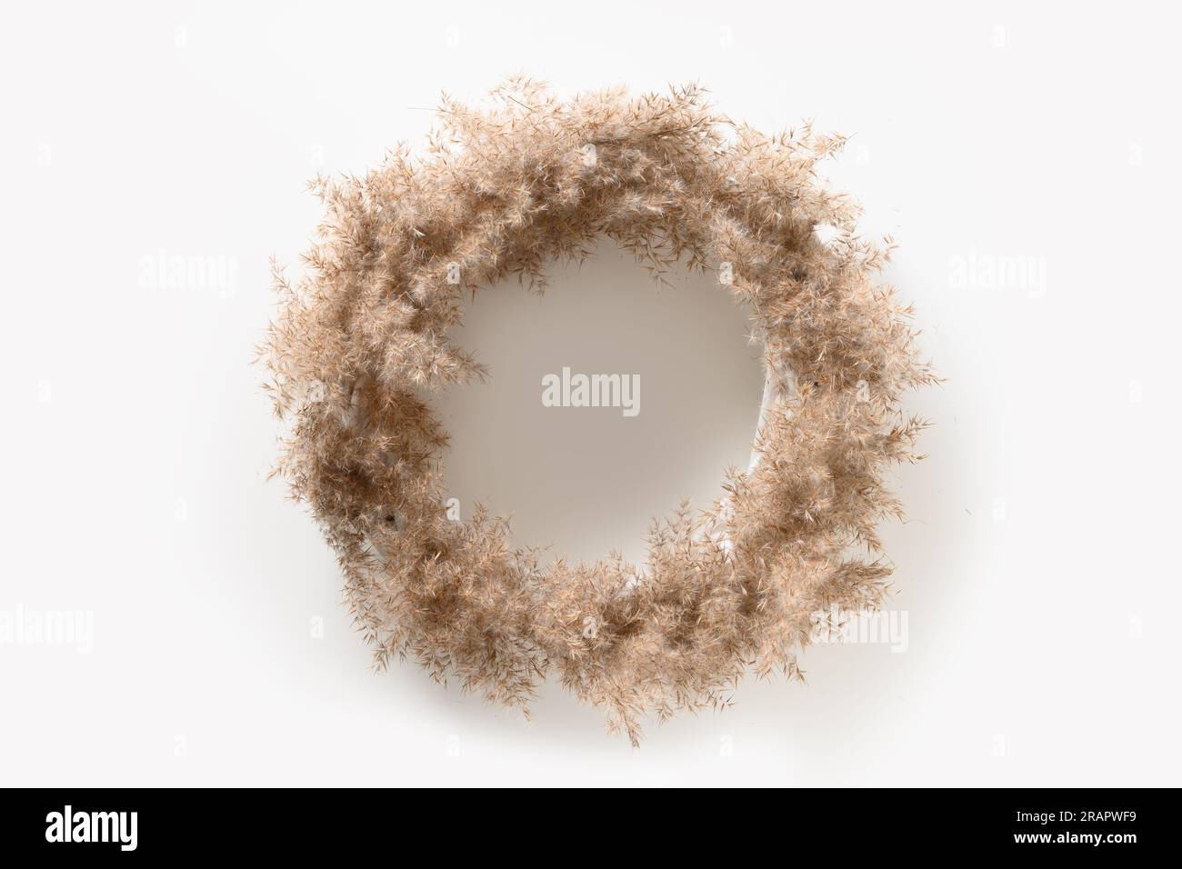 Thanksgiving wreath with dry natural materials isolated on white background. Top view. Copy space. Minimalism. Stock Photo