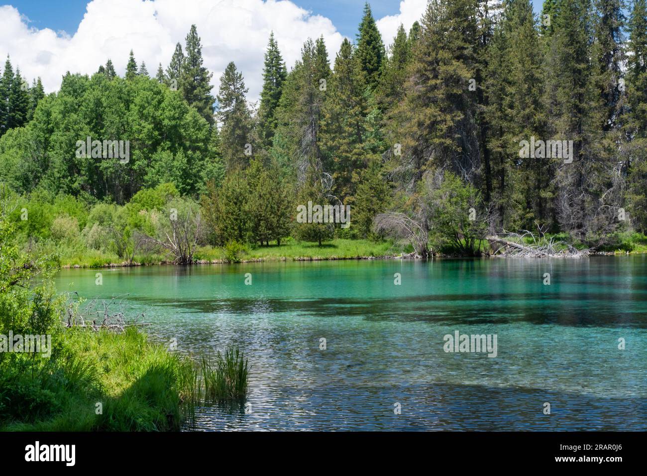 Beautiful lake of blue, crystal clear waters surrounded by forest of
