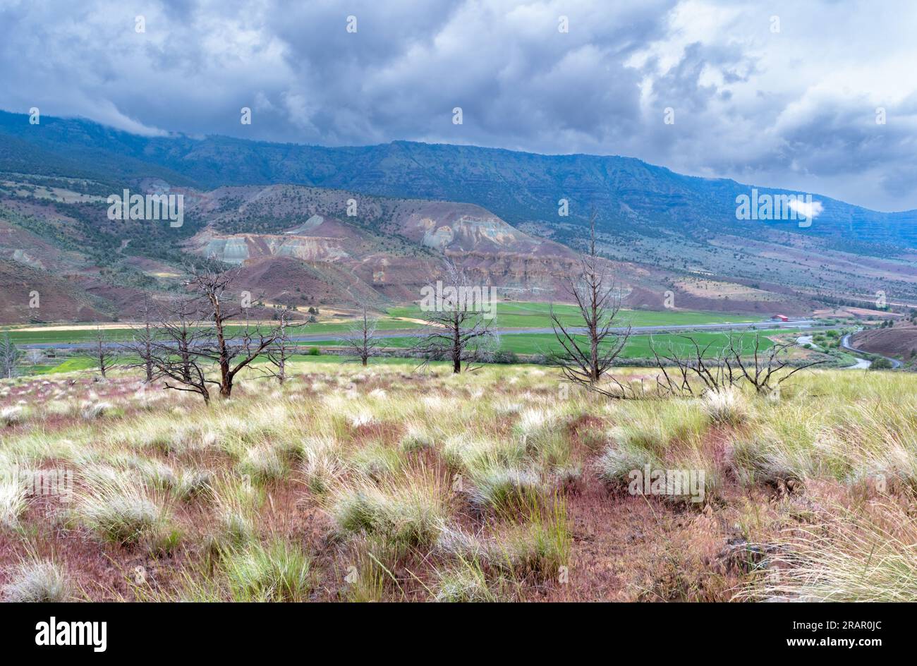 Lush valley in the distance with sagebrush in the foreground and mountains in the distance. Stock Photo