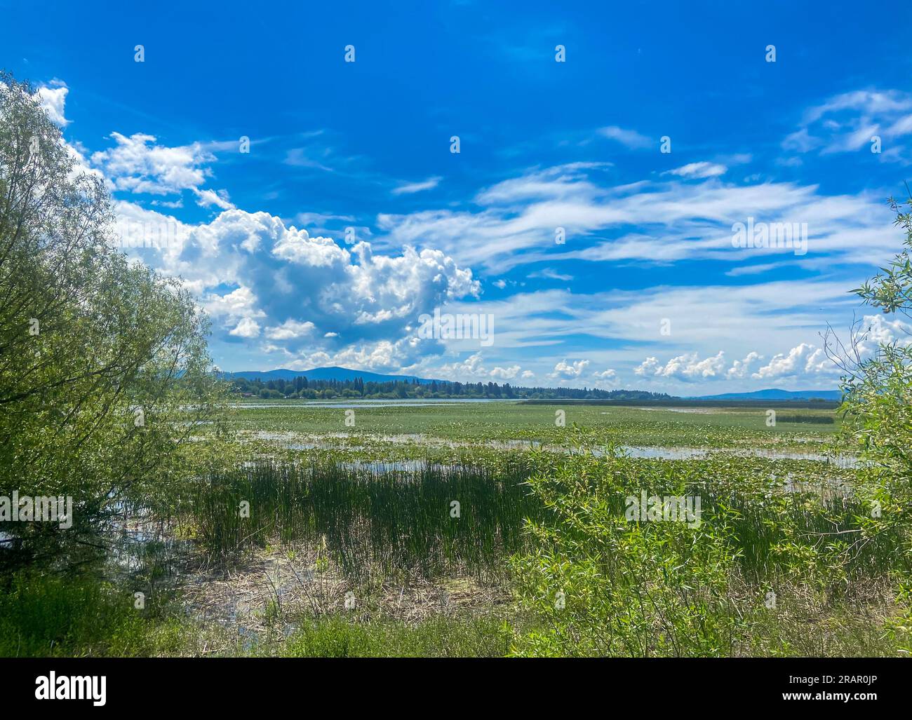 Scenic view of the Wood River, Oregon protected wetlands and bird refuge Stock Photo