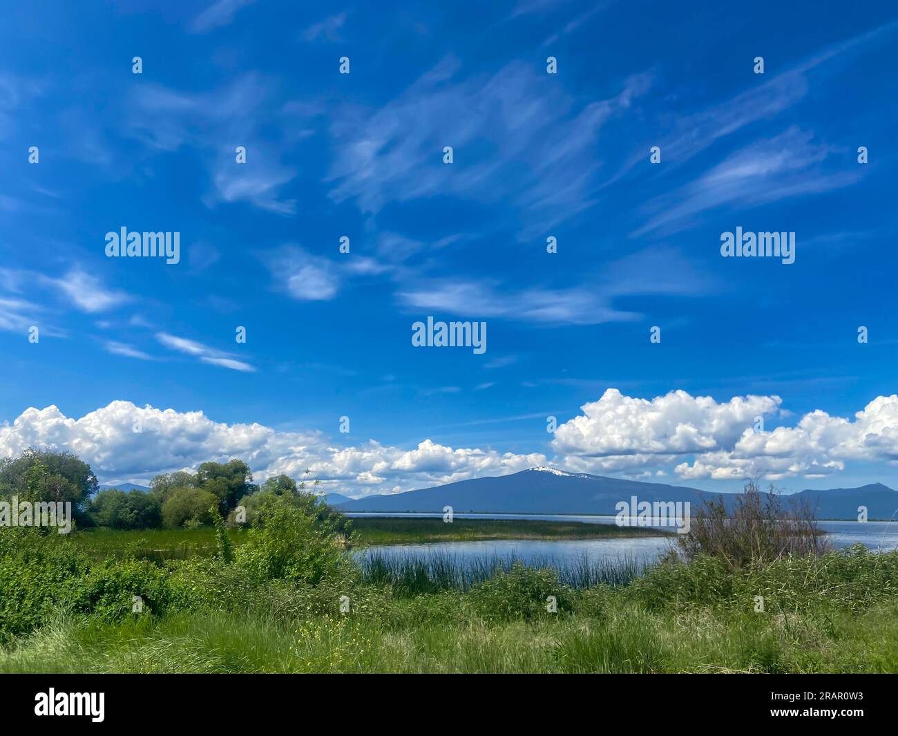 Panoramic view of a small pond in a field in the bird refuge of Wood River, Oregon Stock Photo