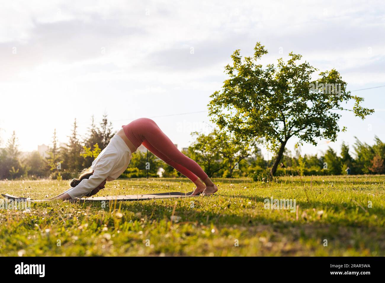 Bending tree pose hi-res stock photography and images - Alamy