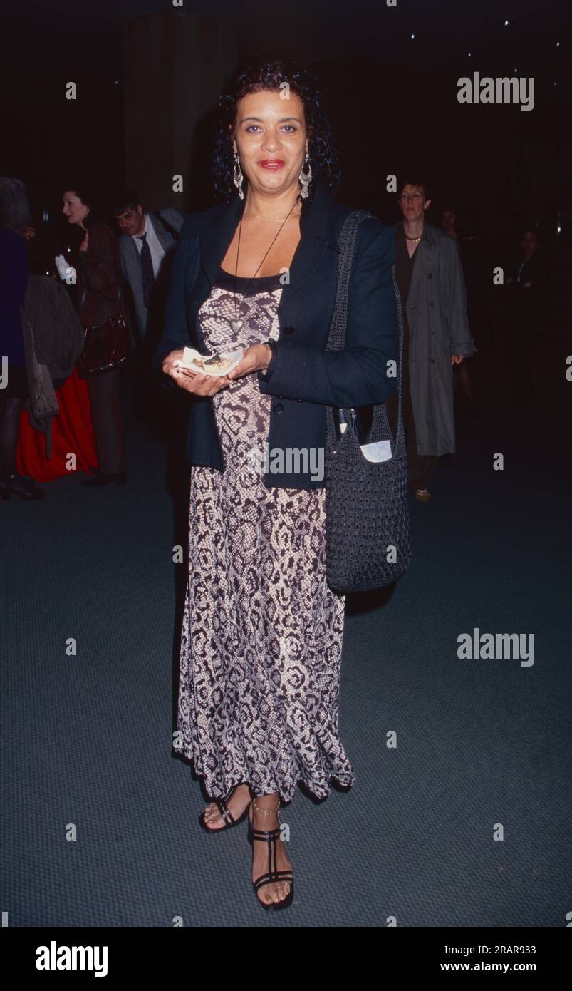 Actress and singer Diahnne Abbott, ex-wife of Robert De Niro and mother of Drena De Niro attends the 9th Annual Human Rights screening of 'Blind Faith' in New York City on June 11, 1998.  Photo Credit: Henry McGee/MediaPunch Stock Photo