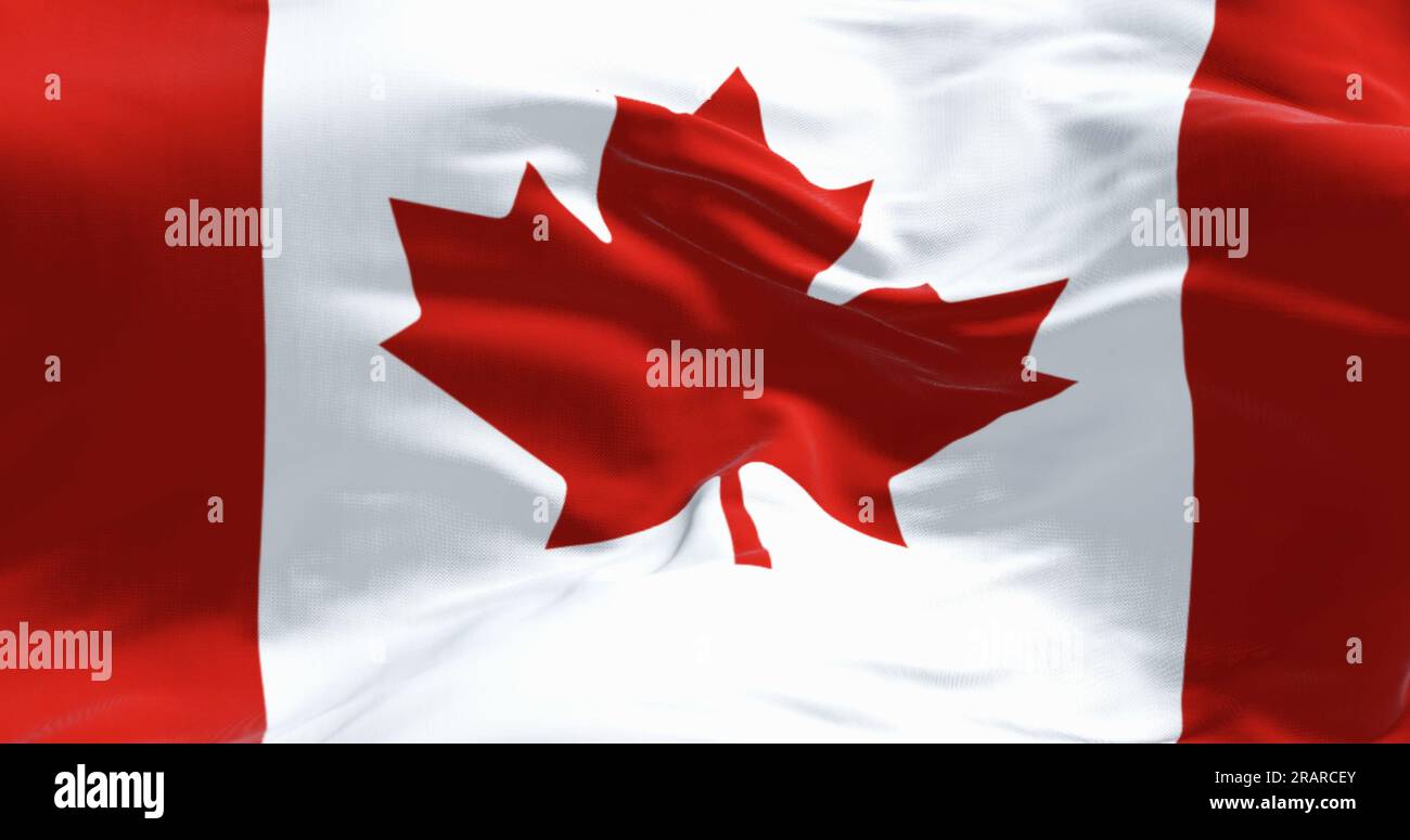 Close-up of Canada national flag waving in the wind. White square in center and red stylized maple leaf with eleven points. 3D illustration render. Ri Stock Photo