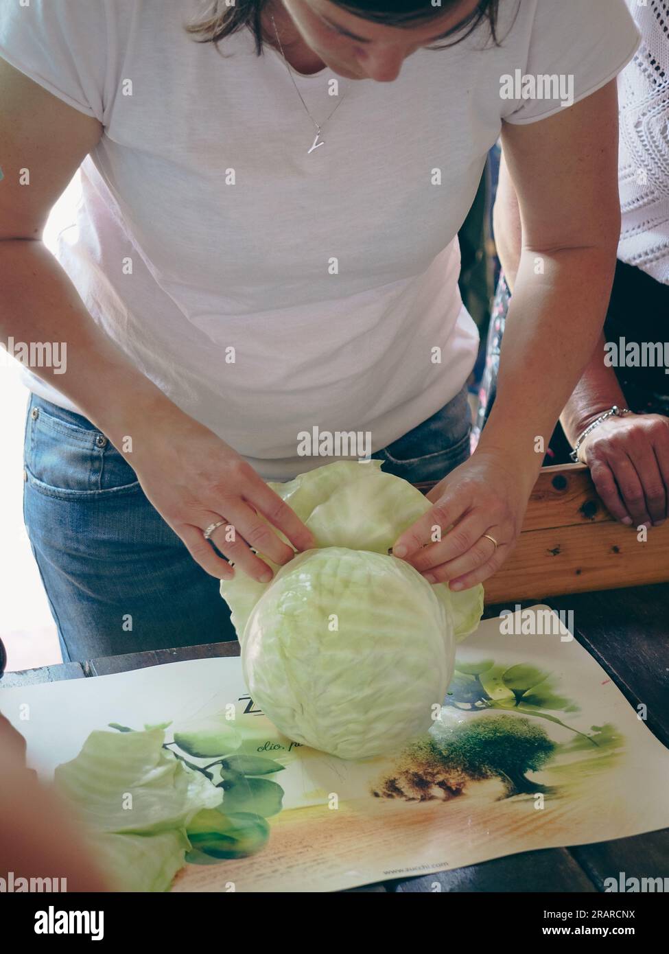 woman cutting and kneading cabbage leaves to make a compress to lower body part inflammation. Natural home made italian antique remedies concept. Stock Photo