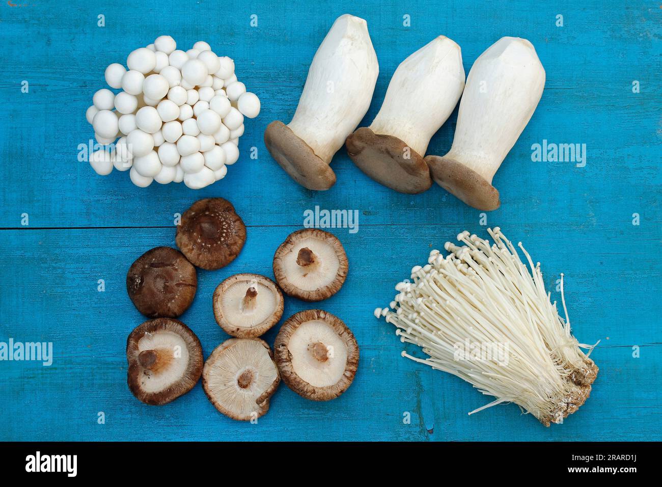 Four Japanese mushrooms. Shimeji Bunapi fungi. White beech mushrooms ...