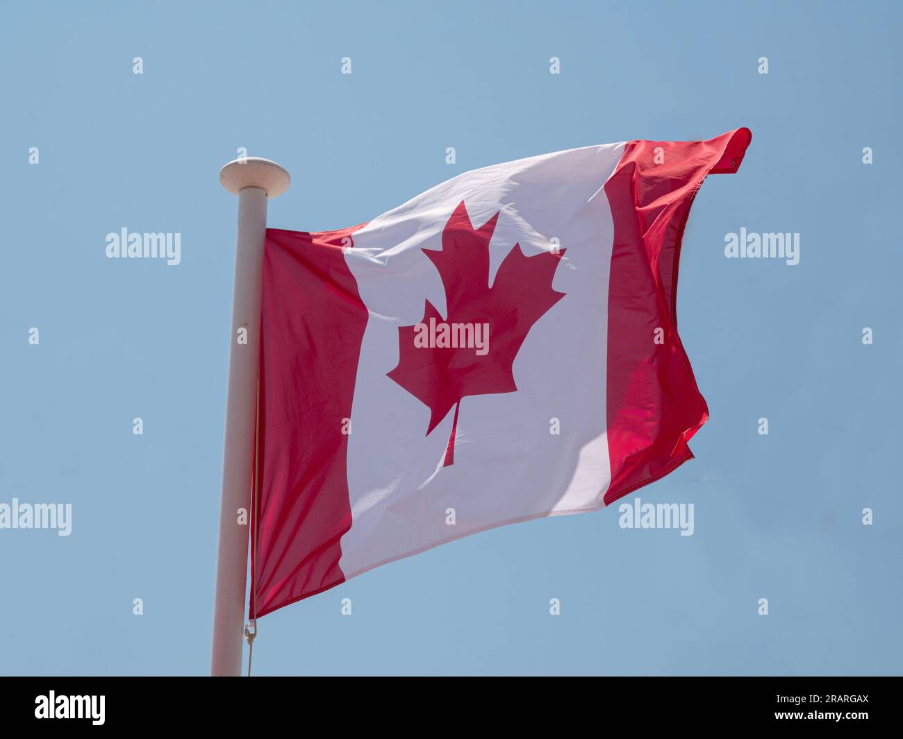 Canada the Canadian flag waving in the wind on a flagpole with blue sky