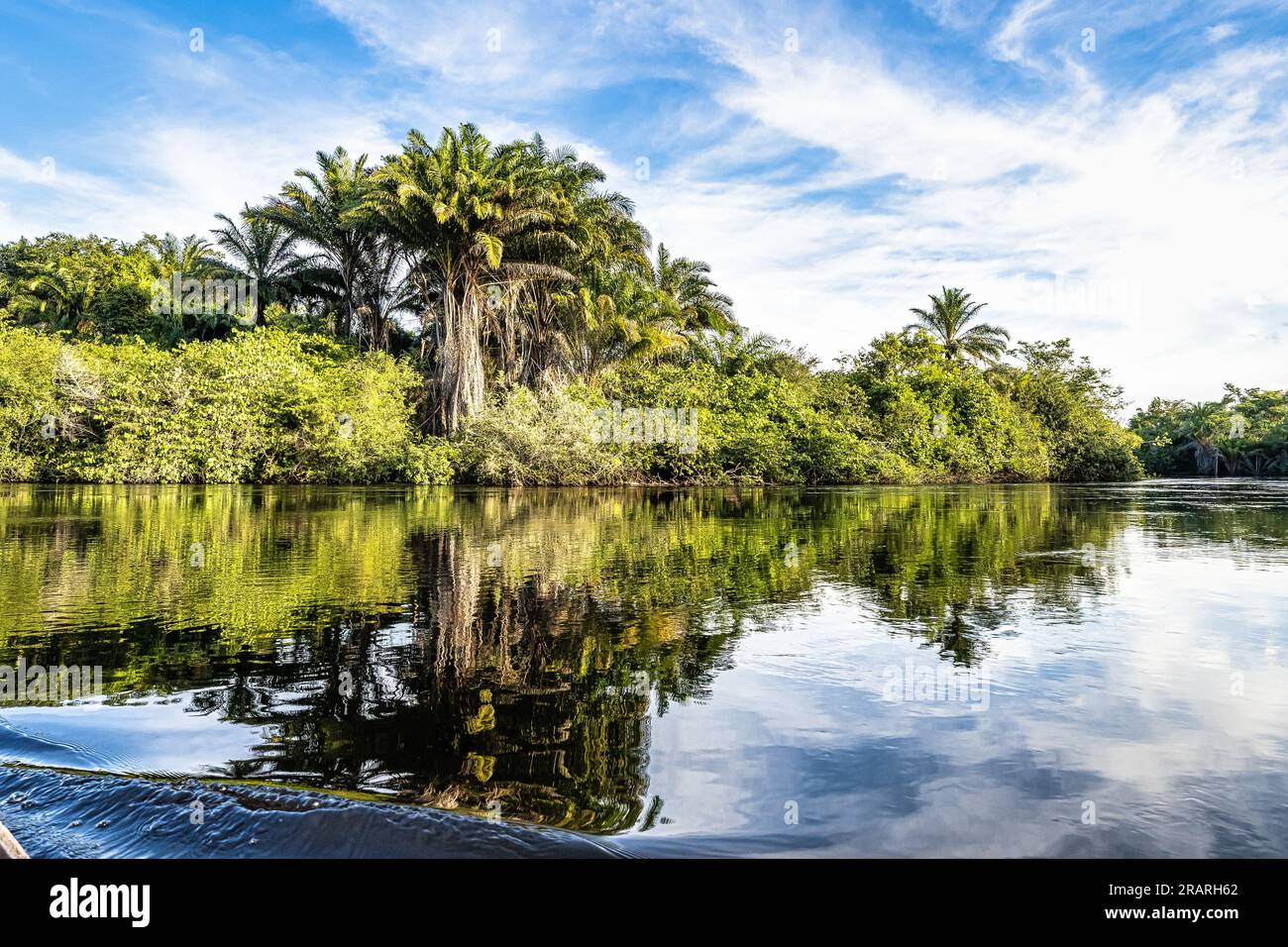 Canoe tour on the Pantanal Marimbus, waters of many rivers and abundant ...