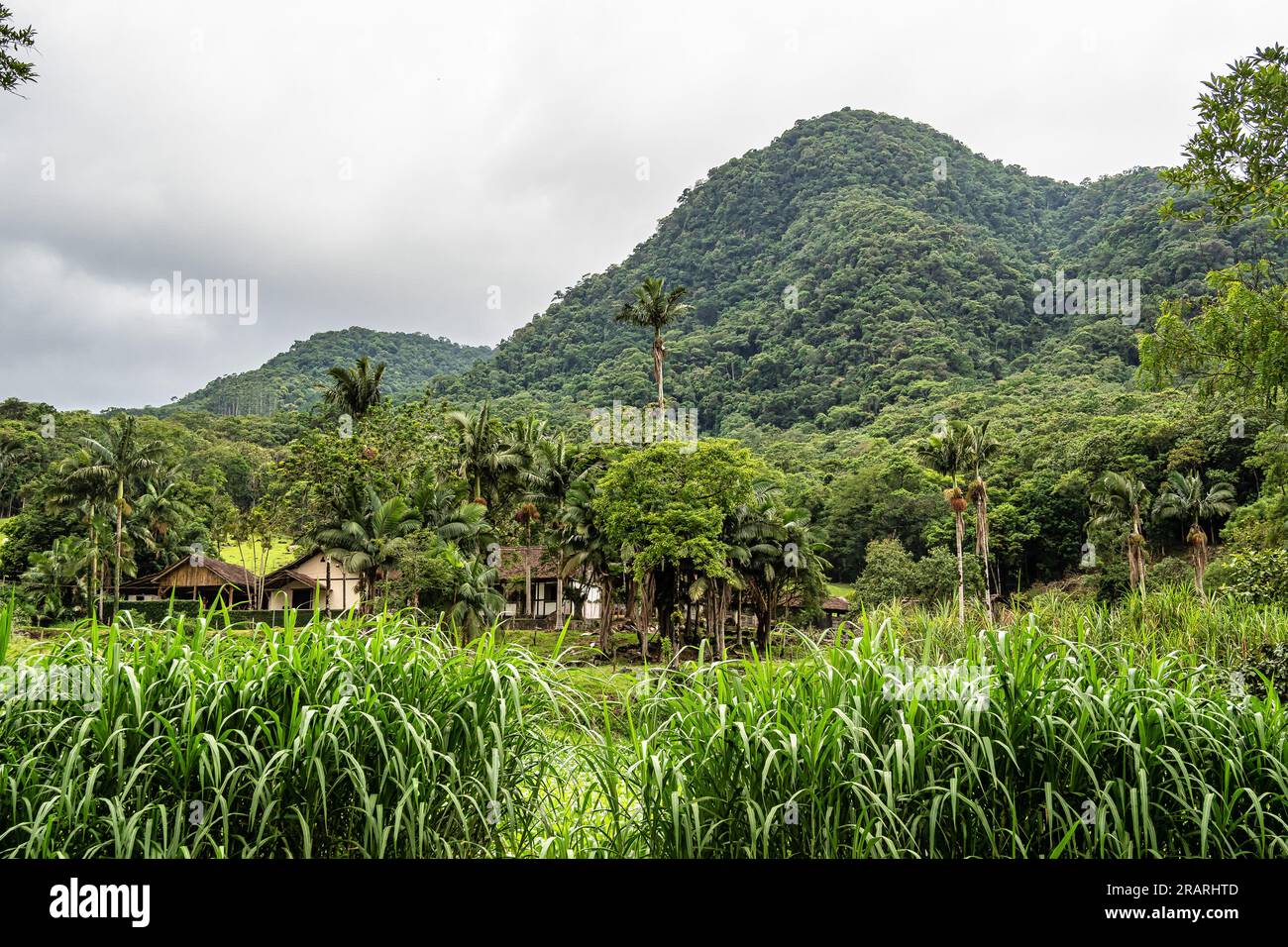 Green fields and meadows in the countryside of german immigrants of Pomerode, Santa Catarina in Brazil Stock Photo