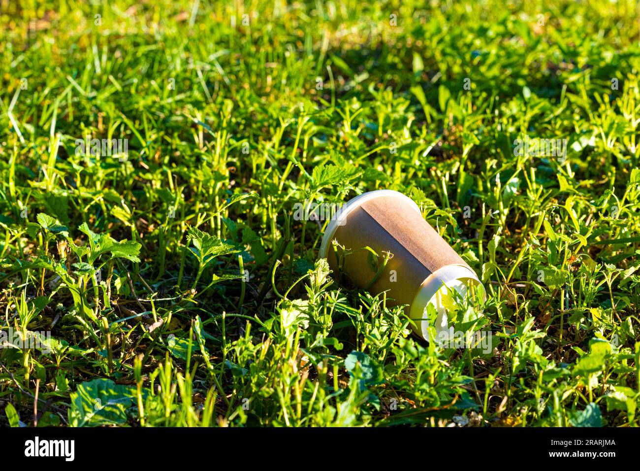a paper cup lies in the green grass. used disposable cup. environmental ...