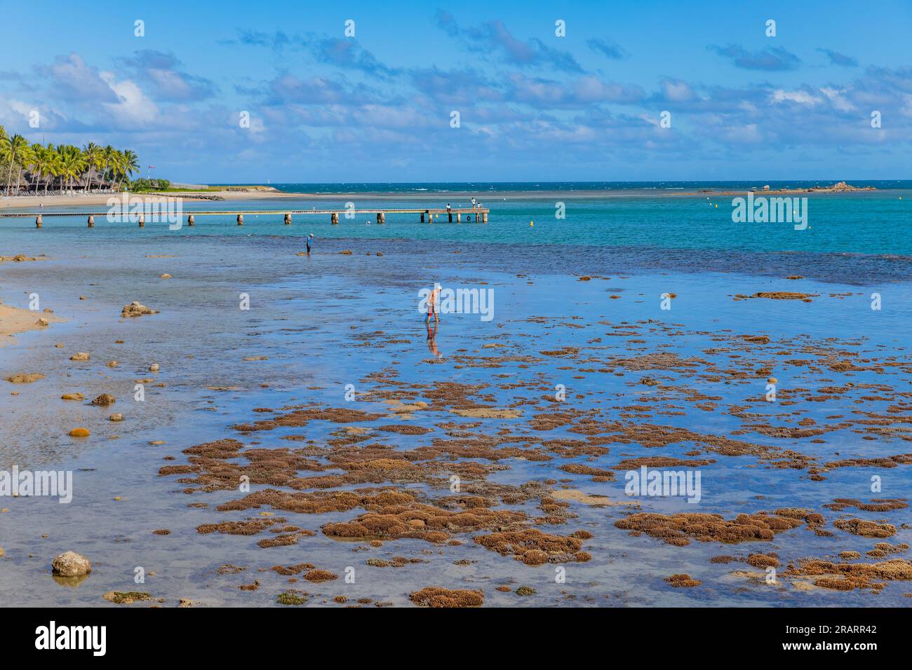 Noumea; New Caledonia 03 June 2023 People relaxing in the afternoon