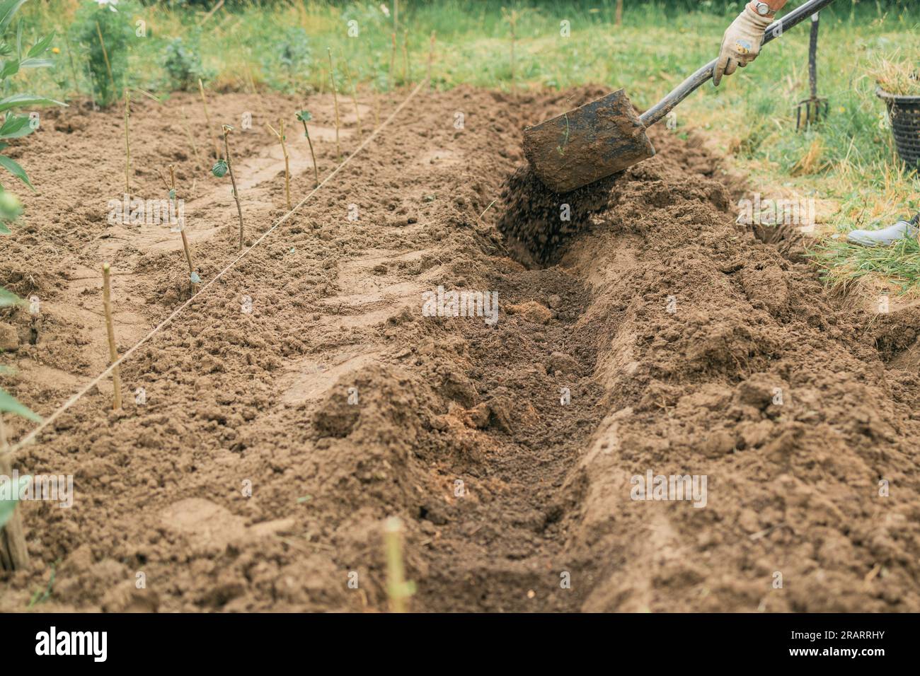 Female worker digs soil with shovel in the vegetable garden. Agriculture and tough work concept. Spring cleaning.  Stock Photo