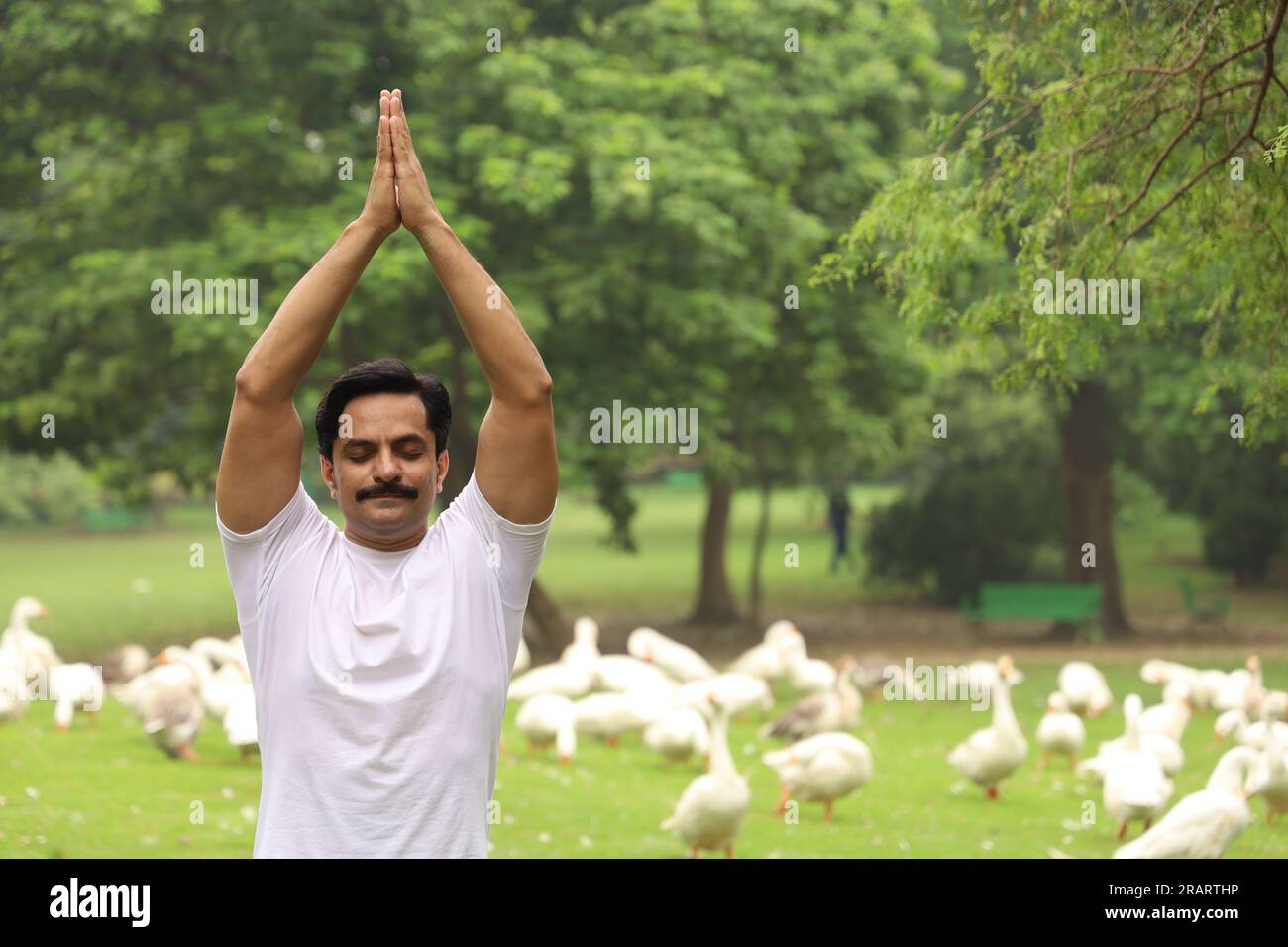Young fit man exercising and doing Yoga poses in green serene environment early morning in park to maintain healthy lifestyle. International yoga day. Stock Photo