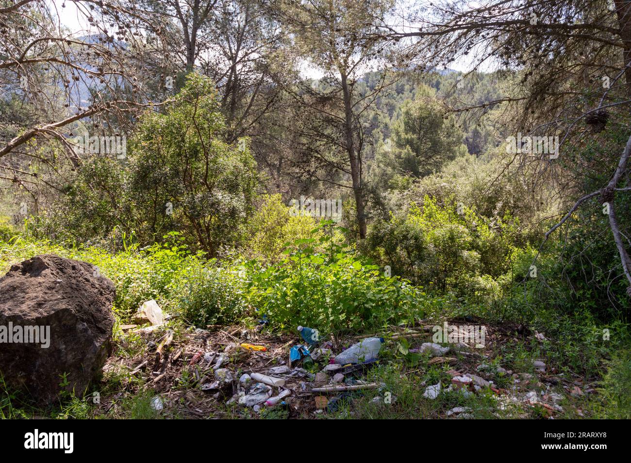 garbage in nature, destruction of the environment, conceptual photography Stock Photo
