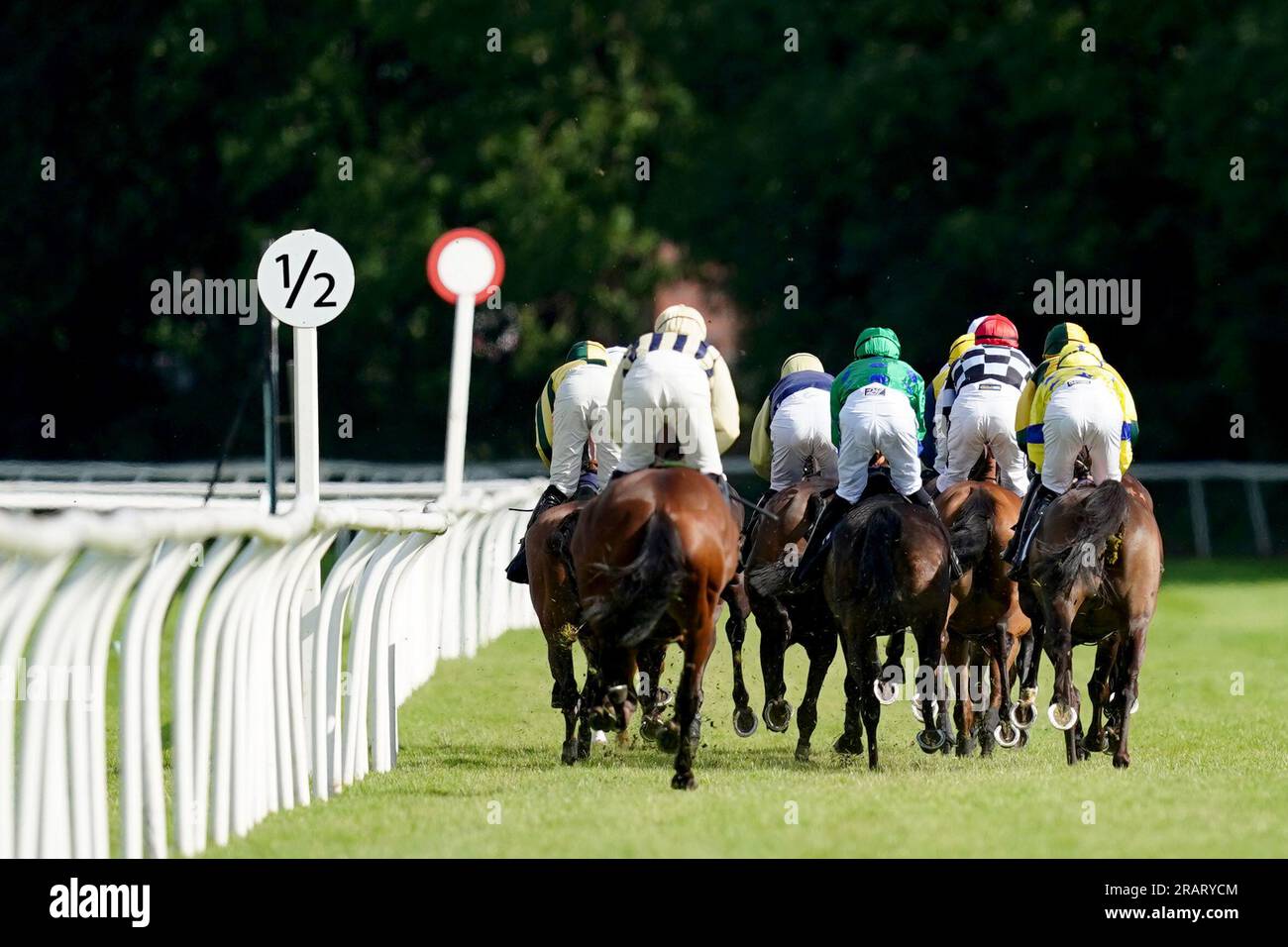 Horses and jockeys compete during the Get Pulling with Pj Nicholls Ssangyong Novices' Hurdle at