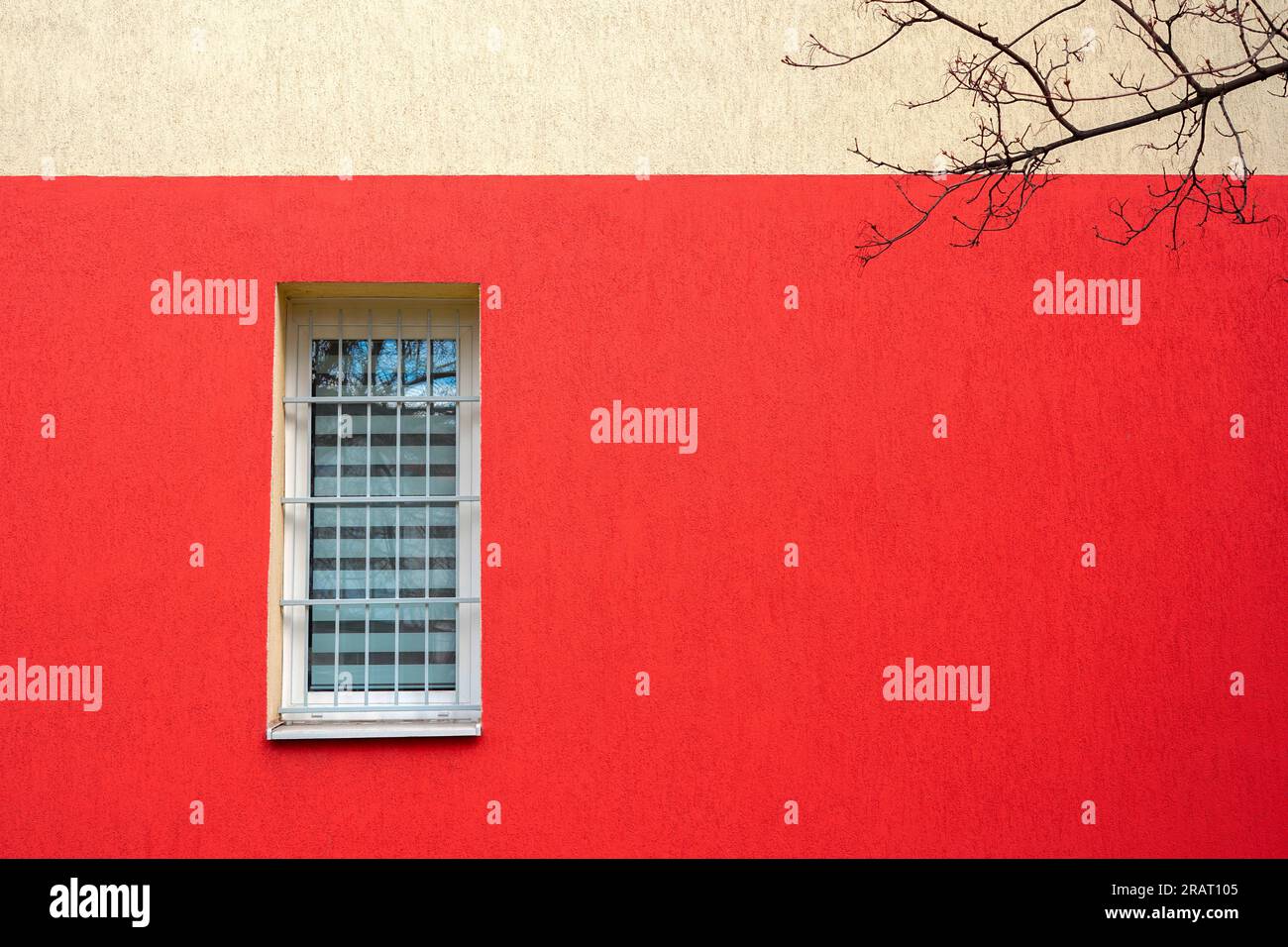 window on the bright red wall with tree brunch , copy space Stock Photo