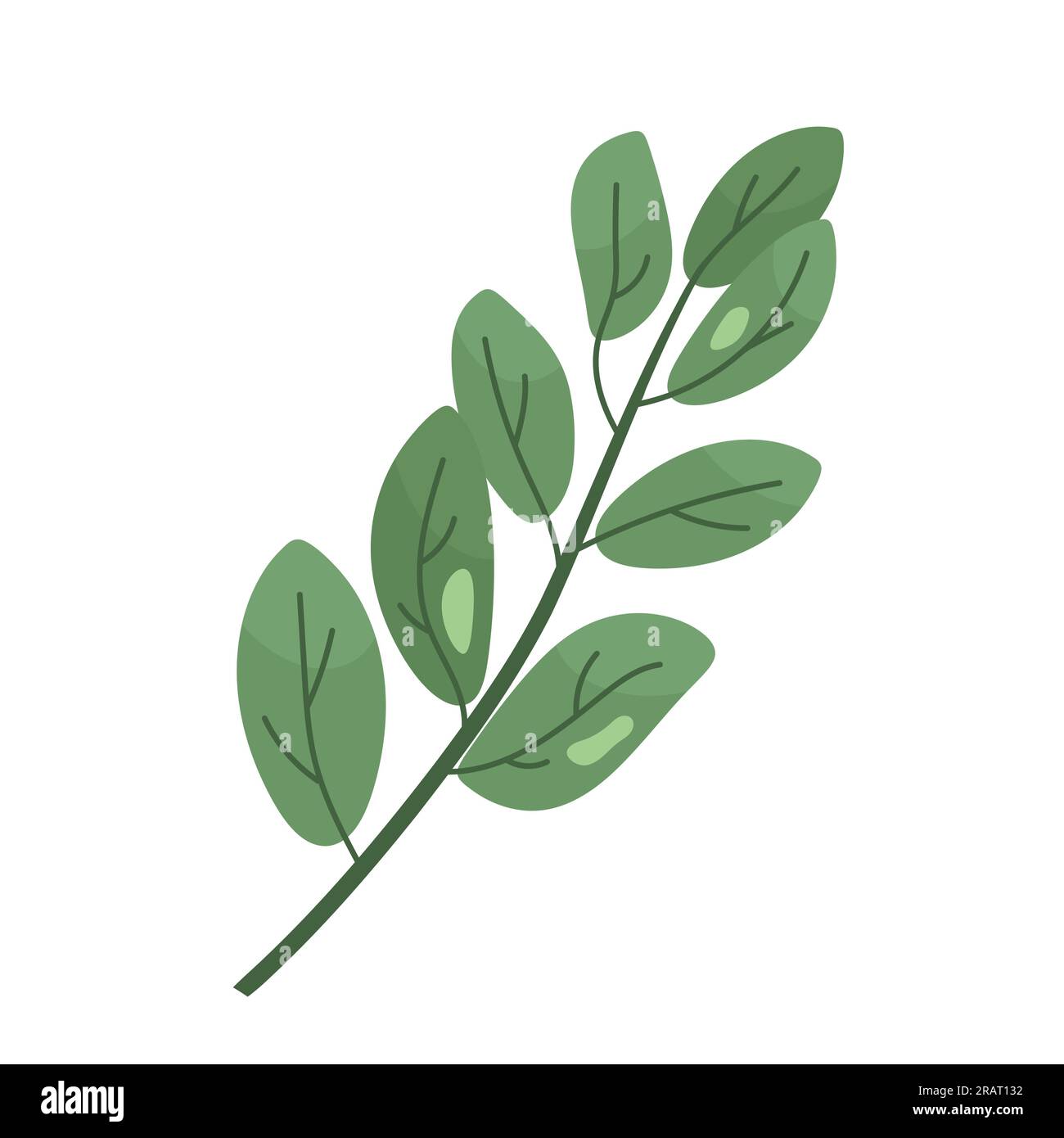 branch with green leaves- vector illustration Stock Vector