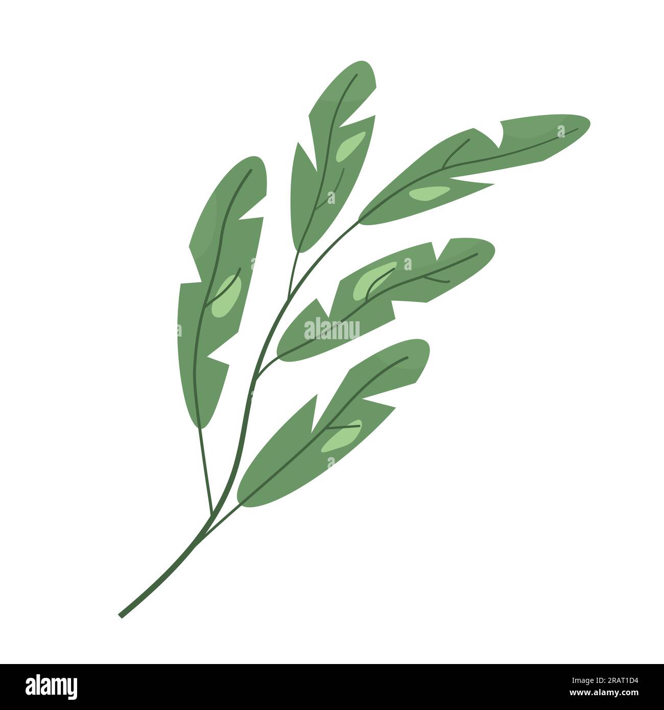 branch with green leaves- vector illustration Stock Vector