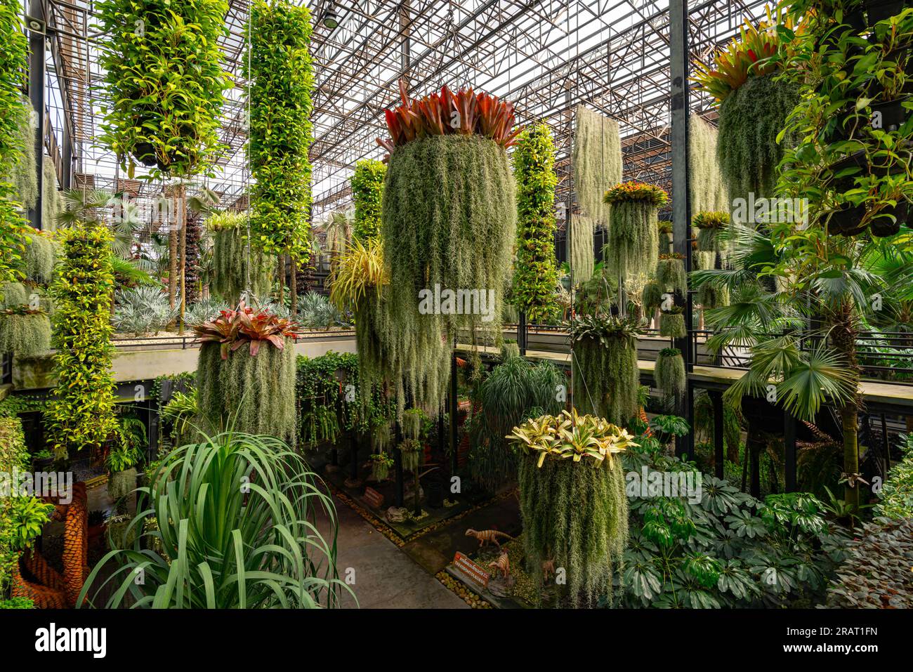 Plants And Flowers Of Sky Garden Stock Photo Alamy Plants And Flowers Of Sky Garden Stock Photo Alamy