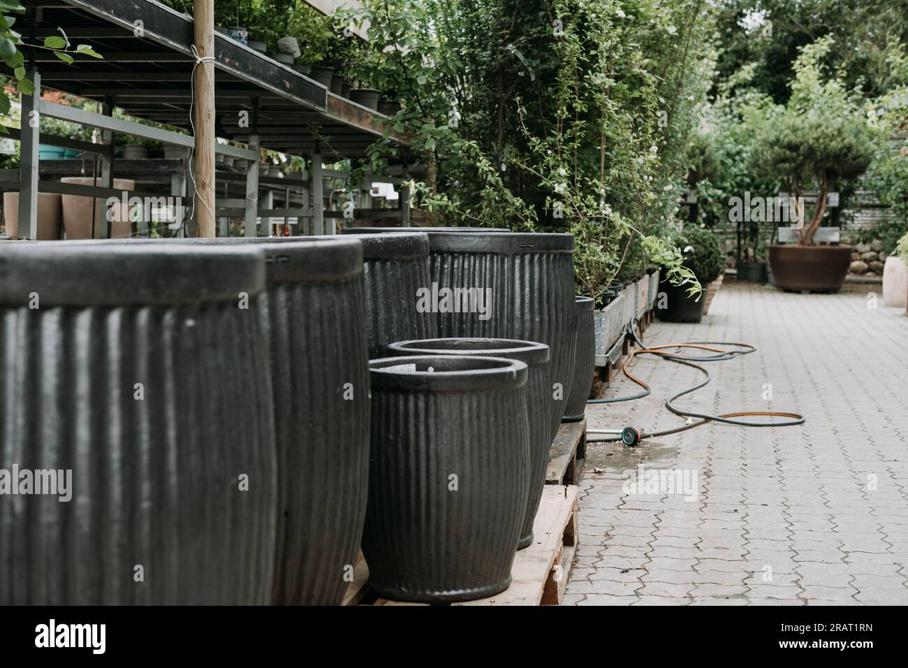 Huge flower pots for sale at the garden center Stock Photo Alamy