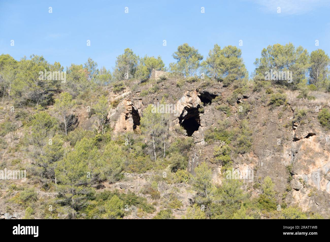 image of the caves among the pines, rural mountain area Stock Photo