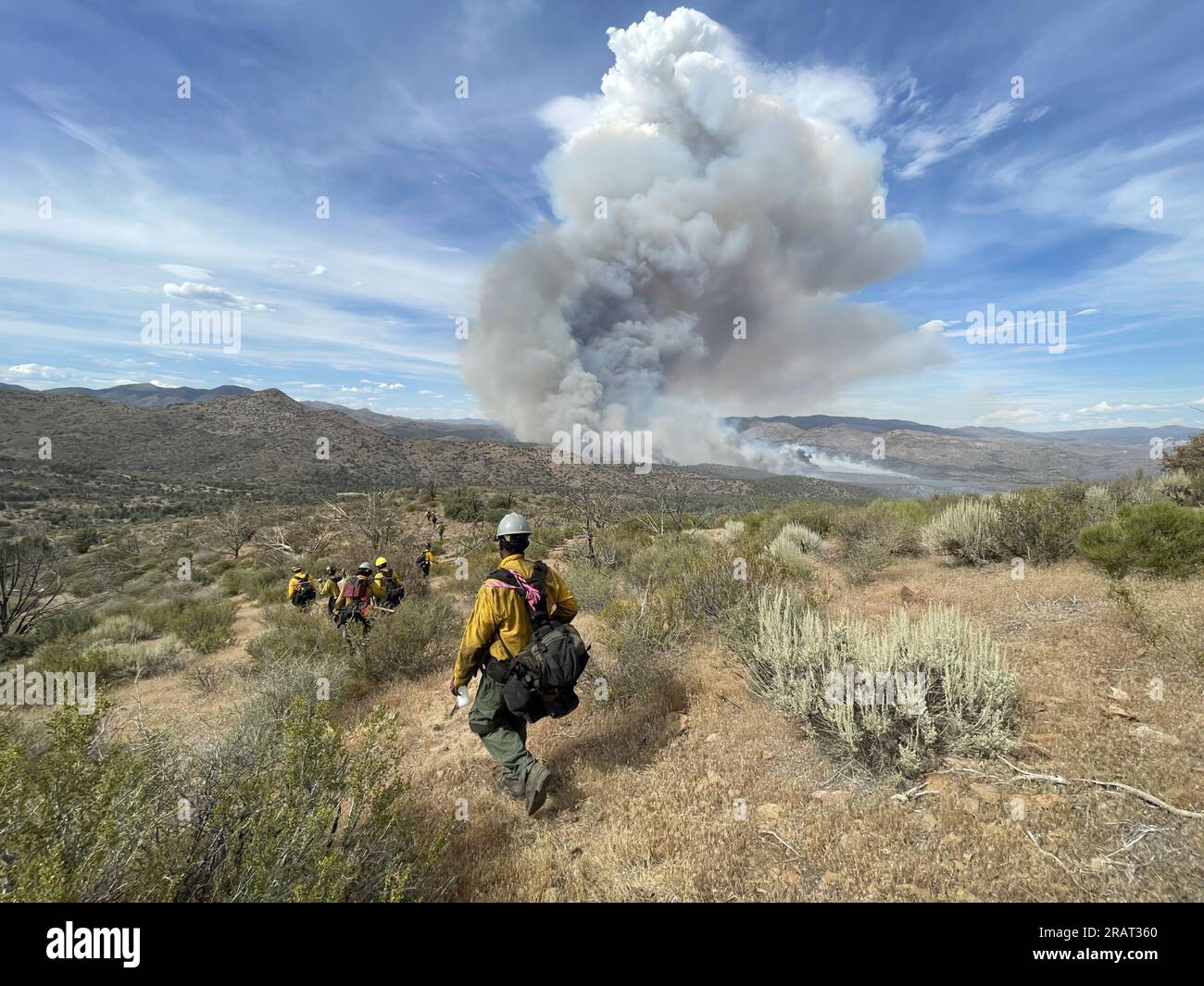 Wildland firefighters construct fireline on the 2022 Dodge Springs Fire