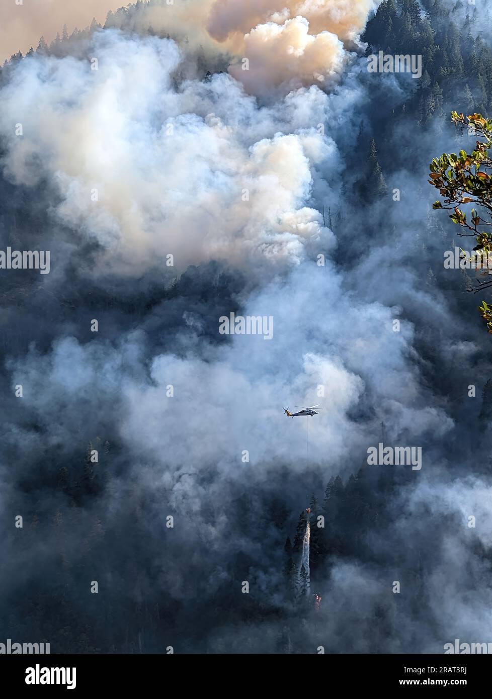 Wildland fire suppression hires stock photography and images Alamy