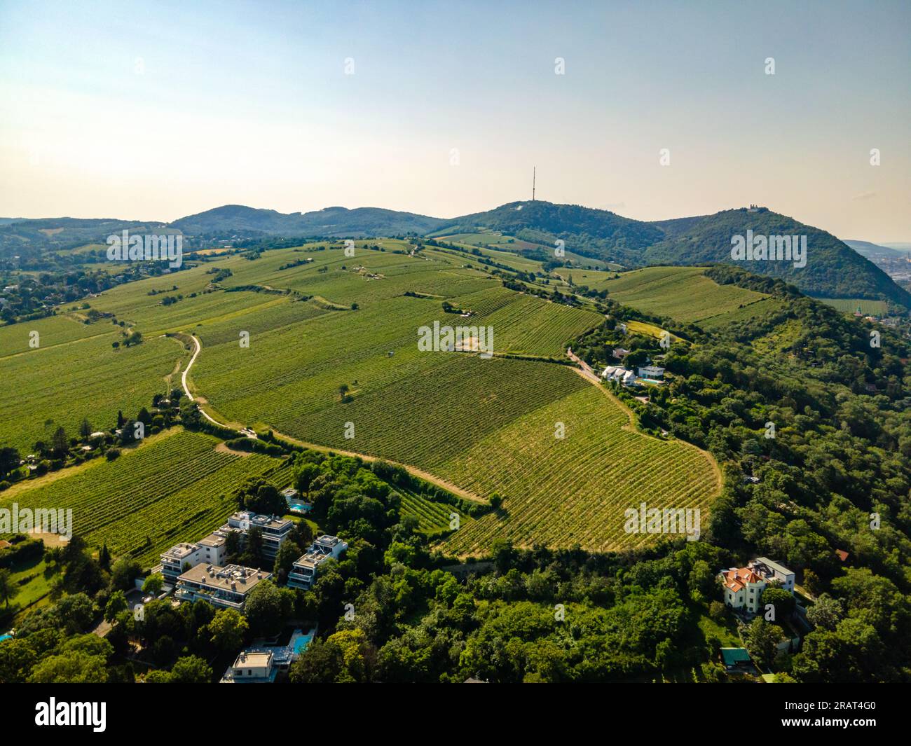An aerial panorama of Vienna Nussdorf with vineyards rows with view on Danube Stock Photo