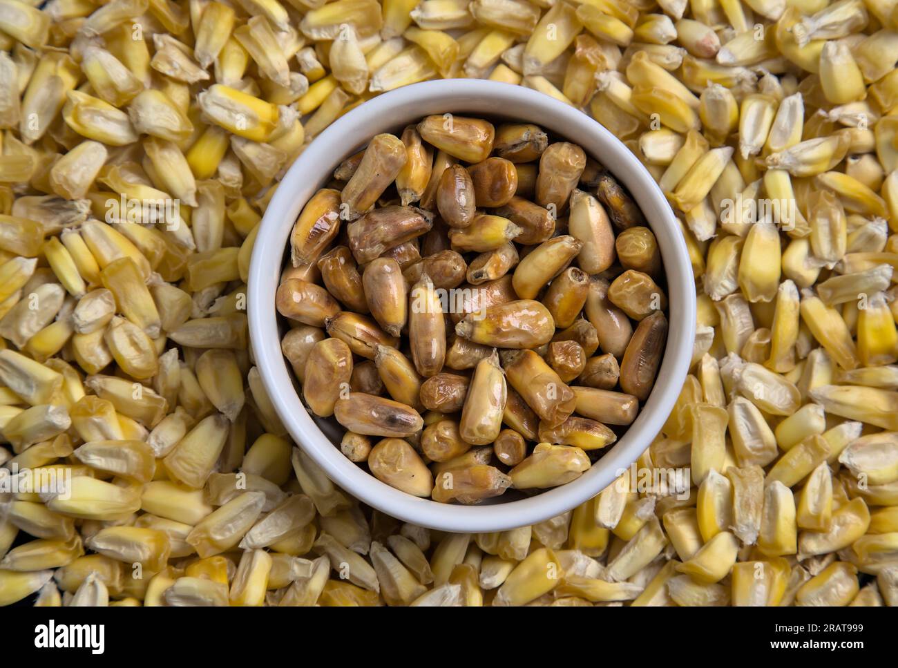 Peruvian chulpe corn kernels (raw roasted cancha nuts) for ceviche or cebiche (fried popcorn, maiz, cuzco, maize, toasted ancient grains) cooked produ Stock Photo