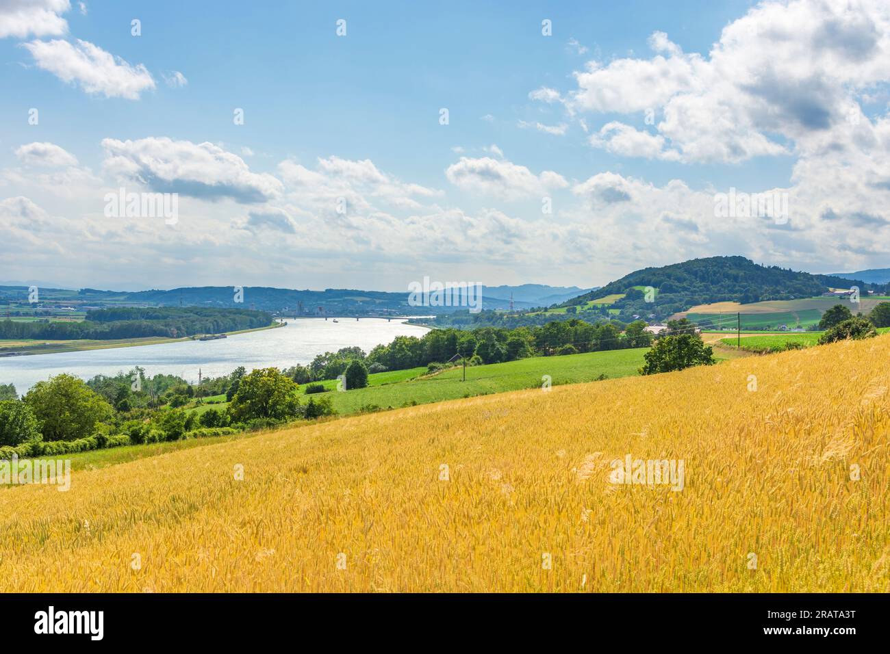 Pöchlarn: river Donau (Danube), view to Pöchlarn, field in Donau, Niederösterreich, Lower Austria, Austria Stock Photo