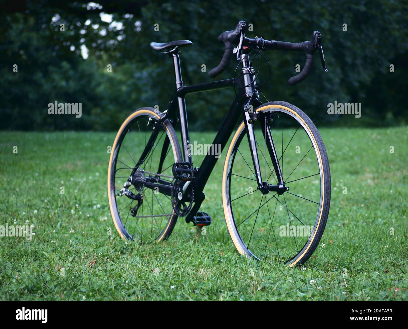 black carbon bicycle in field of grass (road bike with drop handlebars