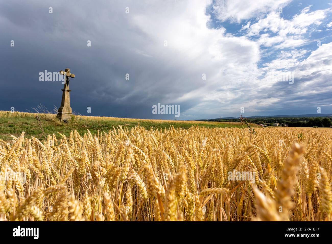 Ctktopix hi-res stock photography and images - Page 3 - Alamy