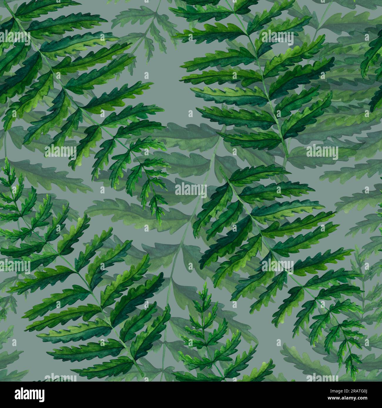 Seamless pattern fern watercolor hand painted illustration in green colors, greenery branch, twig, stem, forest plant isolated on grey background for Stock Photo