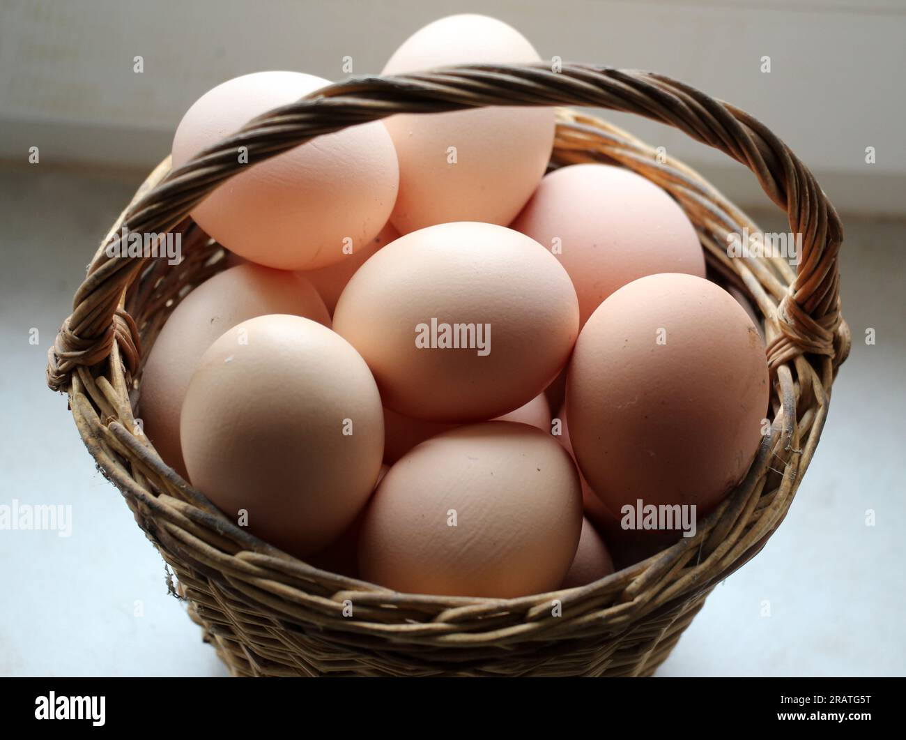 A pile of freshly laid chicken eggs Stock Photo Alamy