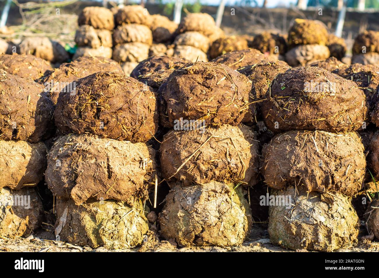 Cow dung cakes used as a bio fuel for cooking near the India Pakistan