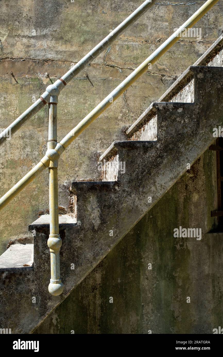 WA24527-00....WASHINGTON - Steps in Fort Warden State Park. Stock Photo