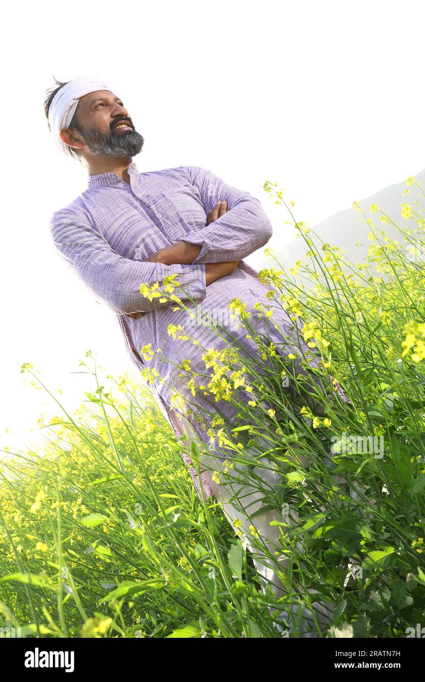 Portrait of Happy Indian farmer feeling the wind while standing in field stretching his arms. Rural India. Joyful Villager to see flourished crops. Stock Photo