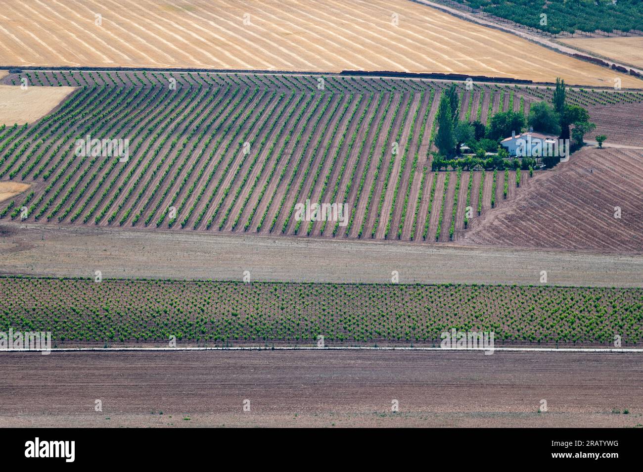 Top view of a country house among plantations in Castilla La Mancha (Spain) Stock Photo