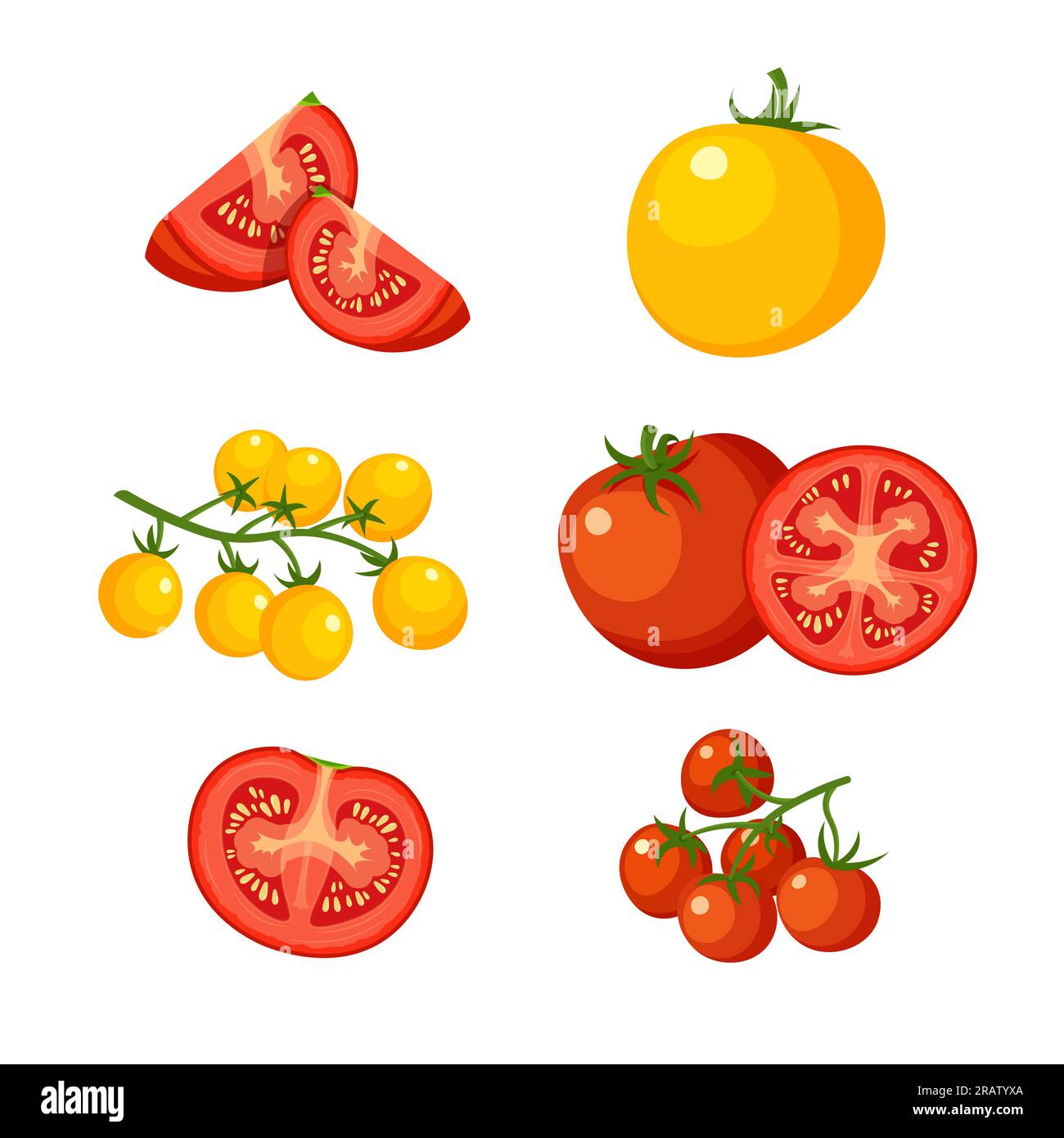 Red and yellow tomatoes cherry. Farm fresh tomato branch. Vector