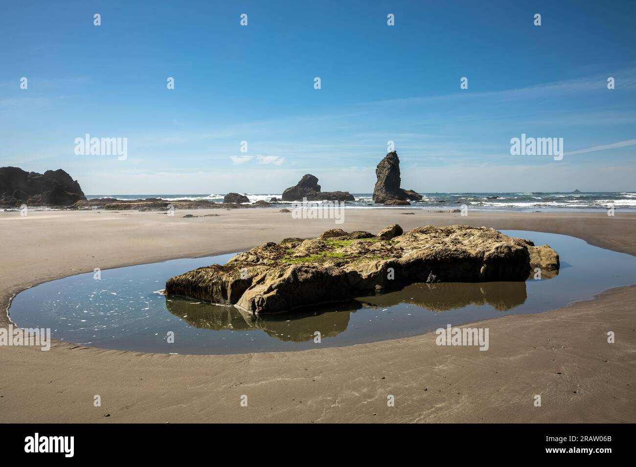 WA23493-00...WASHINGTON - Tide pool on sandy beach along the North Olympic Wilderness Coast in Olympic National Park. Stock Photo