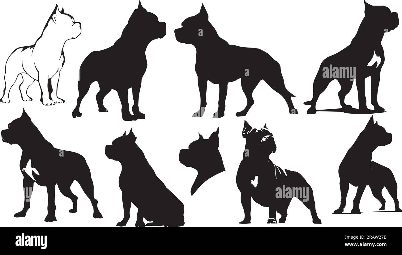 Set of American Bully dog illustrations isolated Stock Vector Image