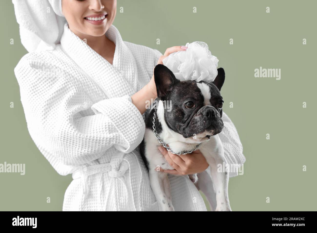 French bulldog outlet robe